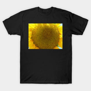 Sunflower, Zakynthos, Greece T-Shirt